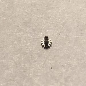 OMEGA 260-1218 Cannon pinion, height 2,55  mm