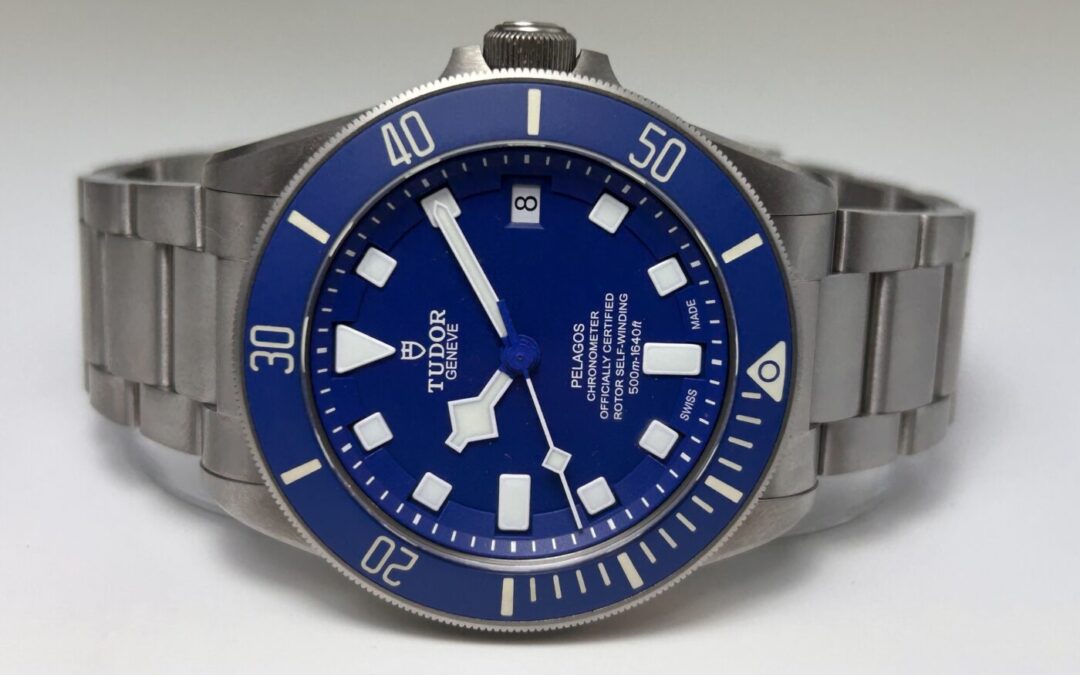 Tudor Pelagos 25600TB-0001