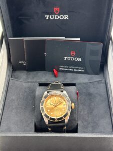 Tudor Black Bay