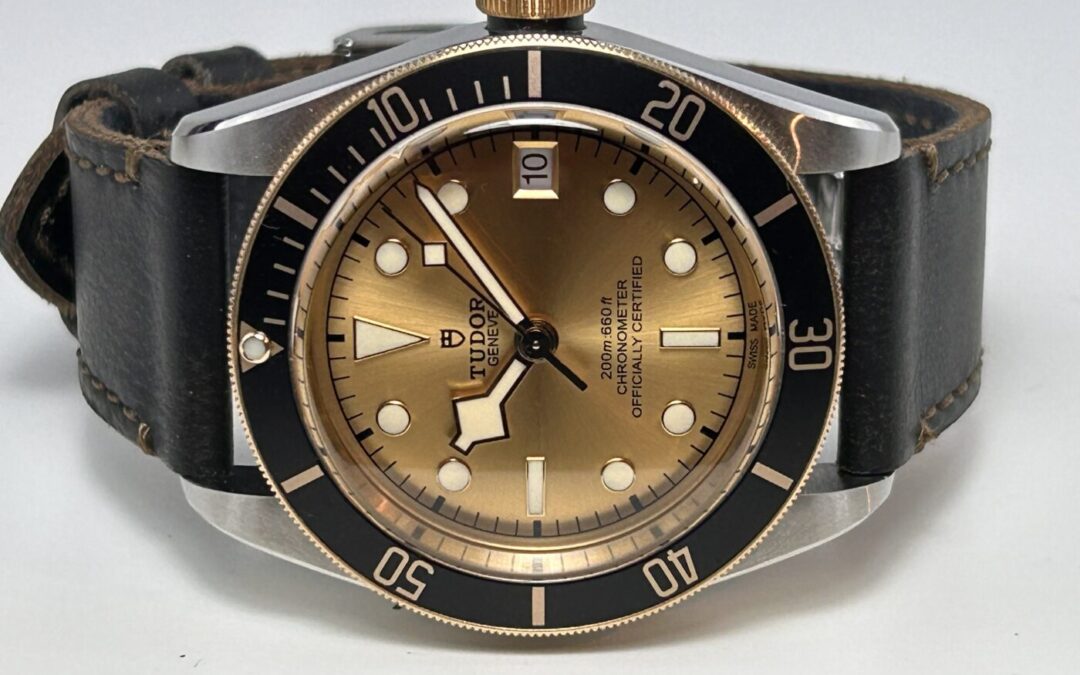 Tudor Black Bay 79733N